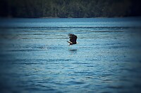 IMG_3083