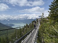 IMG_1950