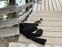 IMG_1881