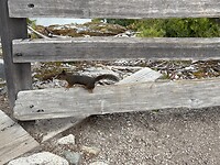 IMG_1880