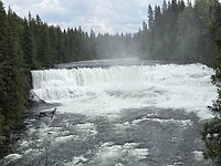 IMG_2392