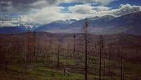 IMG_3100