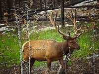 IMG_3105