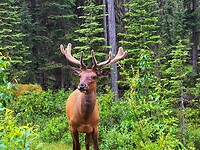 IMG_3104