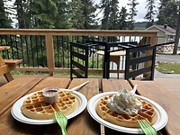 IMG_2650