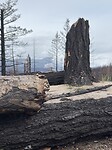 IMG_2611