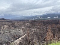 IMG_2607
