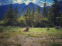 IMG_3109