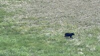 IMG_2931