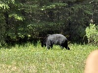 IMG_3065