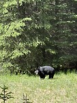 IMG_3076