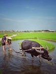 IMG_3266