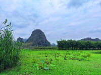 IMG_3274
