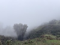 IMG_8194