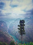 IMG_3303