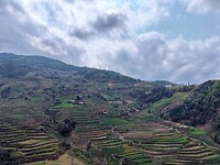 IMG_3297