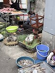 IMG_8788