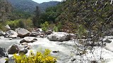 Sequoia National Park