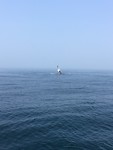 IMG_0459