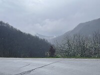 IMG_4175
