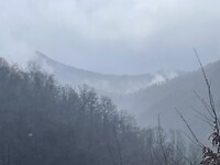 IMG_4174