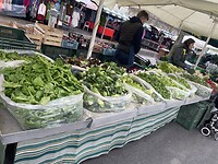 IMG_4203