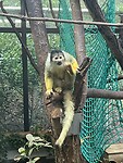 IMG_4209