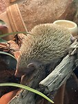 IMG_4251