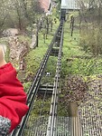 IMG_4262