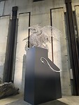 IMG_4263