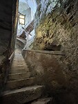 IMG_4323