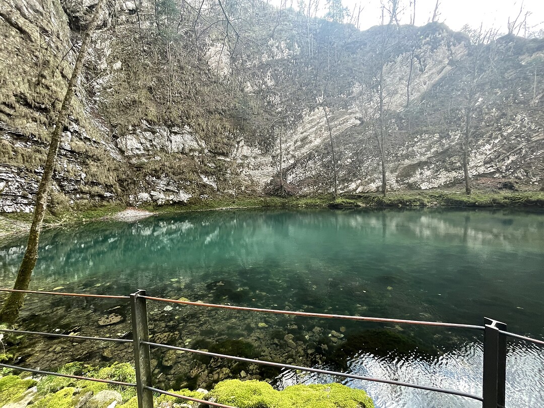 IMG_4403