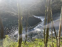 IMG_4405