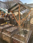 IMG_4426