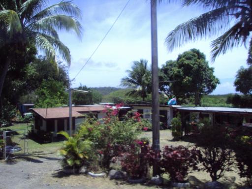 DSC00803