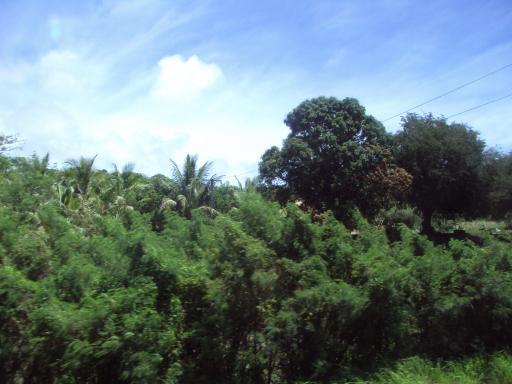 DSC00806