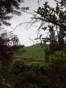 DSC00980