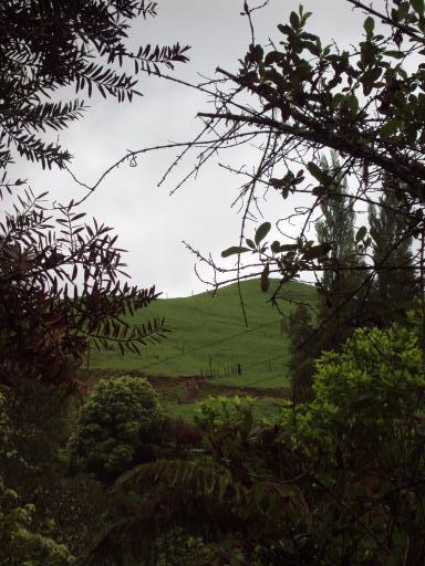 DSC00980