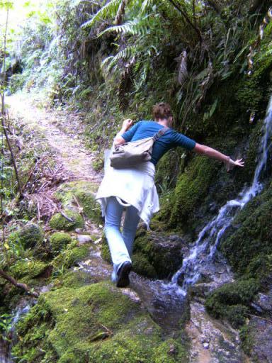 BILD1137