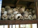 Killing Fields