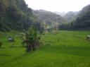Bukittinggi