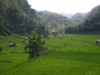 Bukittinggi
