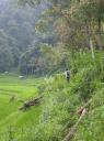 Bukittinggi