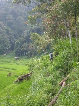 Bukittinggi