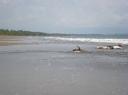 Padang- Pasir Jambak