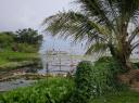Lake Toba-Samosir