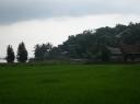 Lake Toba-Samosir