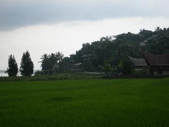 Lake Toba-Samosir
