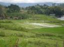 Lake Maninjau