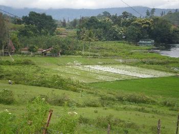 Lake Maninjau